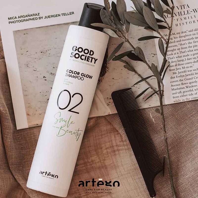 Шампоан за боядисана коса Artego Good Society Rich Color Shampoo 250ml