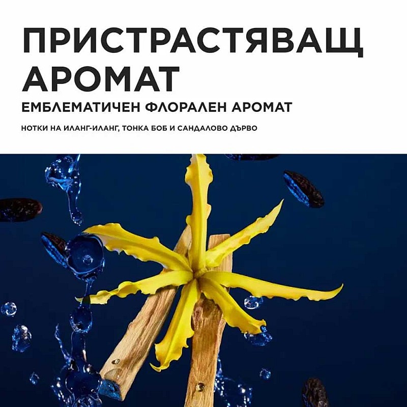 Коледен комплект за суха коса с интензивно подхранване и термозащита Kérastase Nutritive Holiday