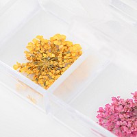 Сухи цветя за декорация на нокти Molly Nails 36 бр