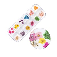 Сухи цветя за декорация на нокти Molly Nails 36 бр