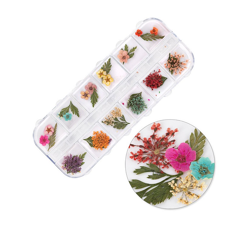 Сухи цветя за декорация на нокти в кутия Molly Nails 36 бр