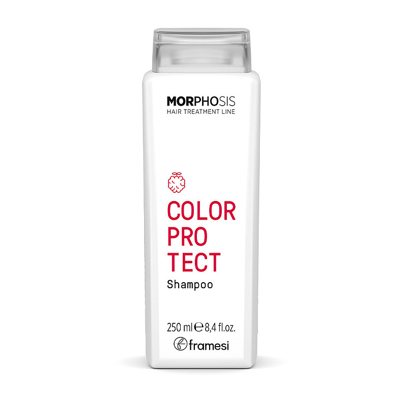 Шампоан за запазване на цвета Framesi Morphosis color protect 250ml