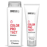 За запазване на цвета Framesi Morphosis color protect