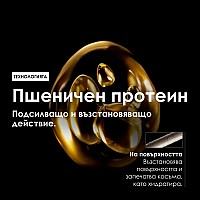 Възстановяваща маска за силно увредена плътна коса Loreal Absolut Repair Masque 250ml