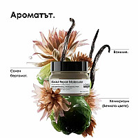 Маска за молекулярно възстановяване на увредена коса Loreal Absolut Repair Molecular Mask 250ml