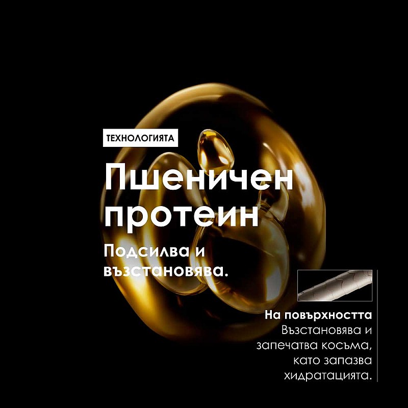 Коледен комплект за изтощена коса Loreal Professionel Absolute Repair Meteora