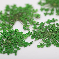 Сухи цветя декорация за нокти Green5бр