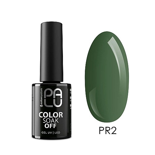 Гел лак Palu PR2 Prague 11g