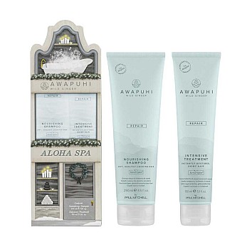 Възстановяващ комплект за увредена коса Paul Mitchell Awapuhi Wild Ginger Nourishing Duo