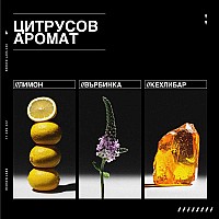 Спрей за уплътняване и термозащита на косата Redken Acidic Grow Full Hair Spray 190ml