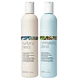 Серия за мазна коса, пърхот и косопад Scalp Care 